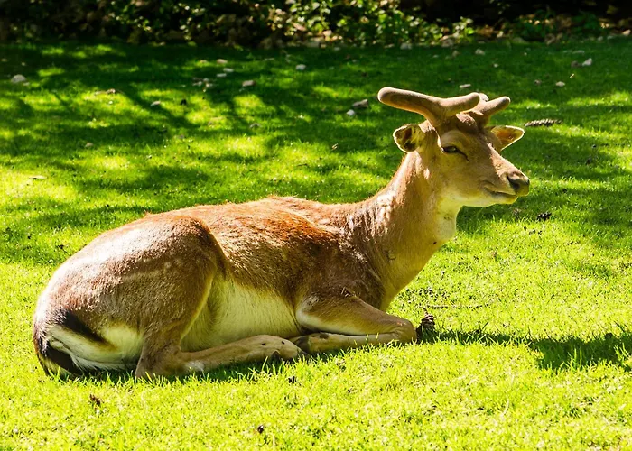 Il Rifugio Del Cuore *